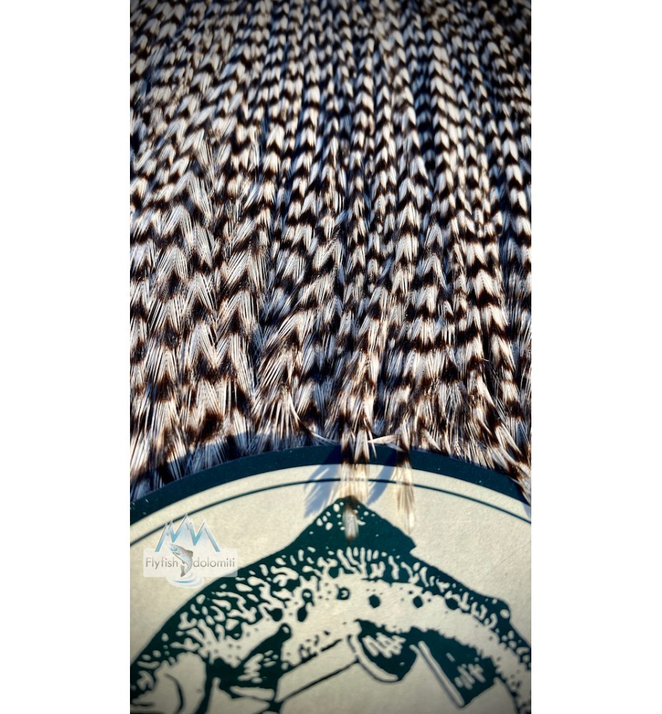 Metz Rooster Neck #3 Grizzly - Grizzly | Fly fishing equipment